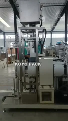 Confezionatrice sottovuoto automatica per polveri Big Bag da 25 kg e 50 kg